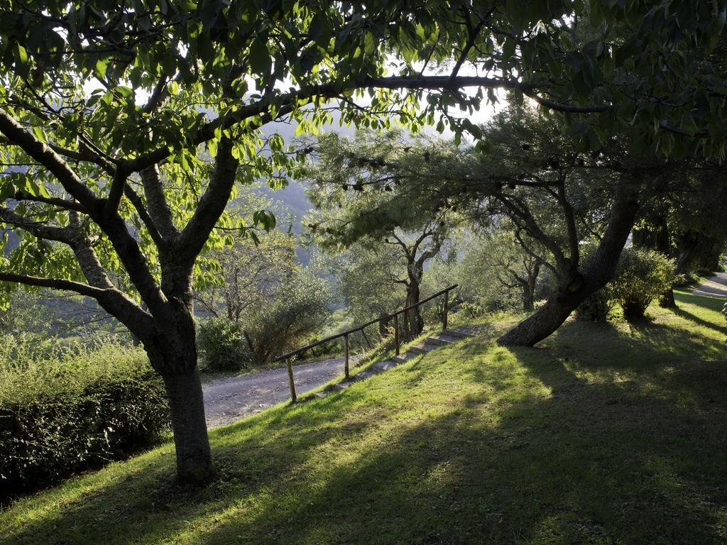 Le Silve Di Armenzano Hotel Assisi Bagian luar foto