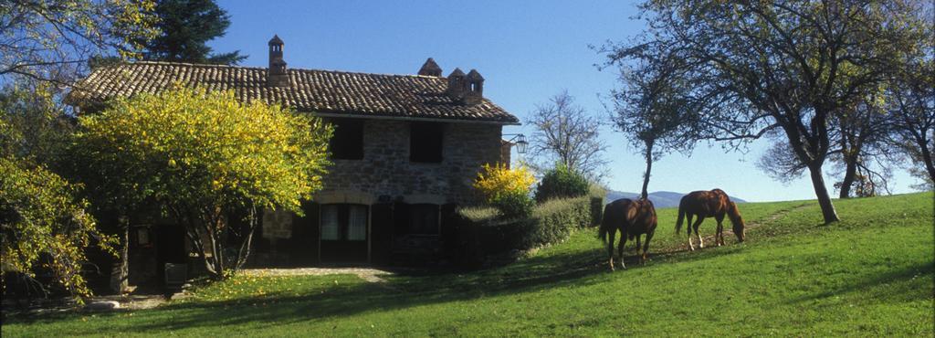 Le Silve Di Armenzano Hotel Assisi Bagian luar foto