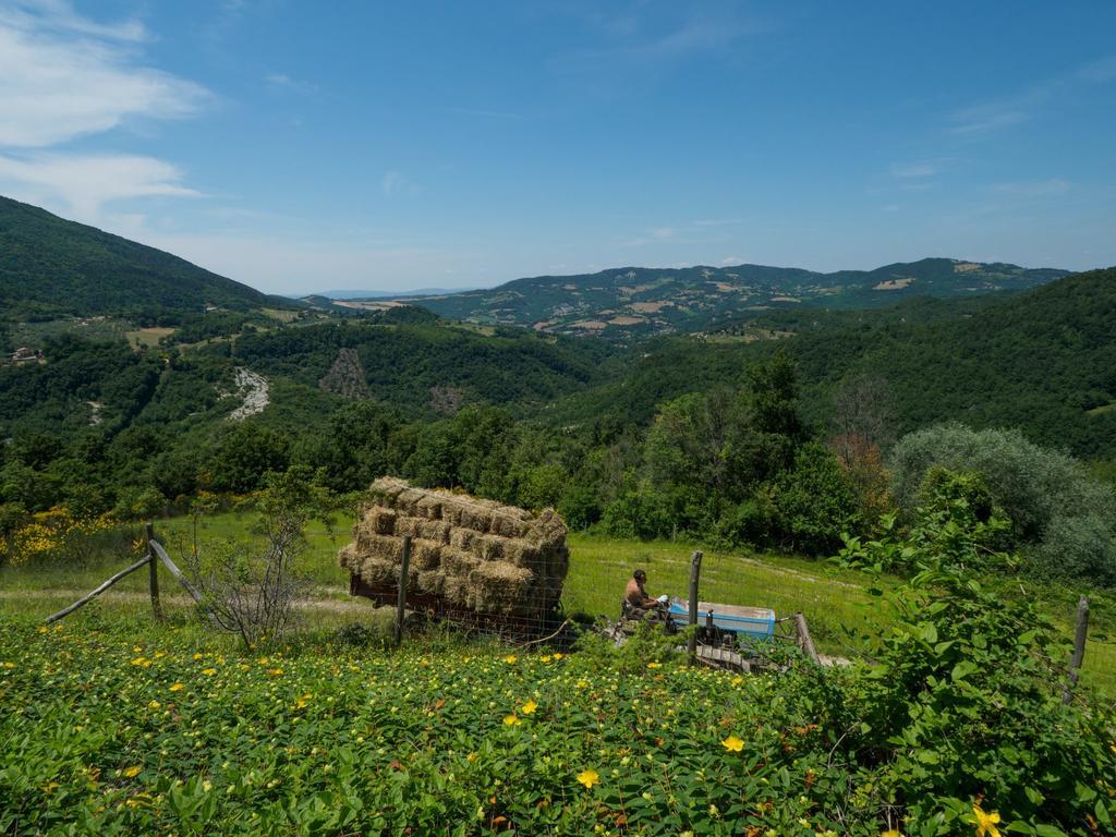 Le Silve Di Armenzano Hotel Assisi Bagian luar foto